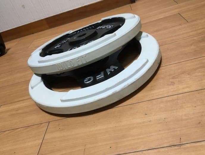 WILD FIT ダンベル プレート10kg x 2枚